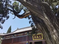 -中岳庙