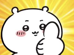 -宠福鑫康馨动物医院·骨科·眼科