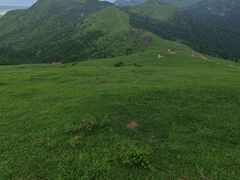 -大姆山草场