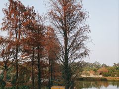 -南沙蒲洲花园