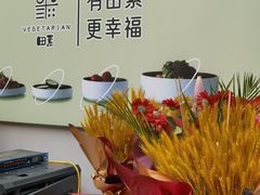 -田素(稻田创业小镇店)