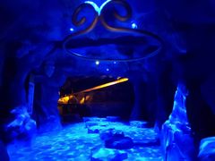 -西安电影制片厂