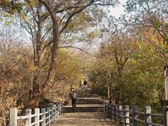 -紫金山山顶公园