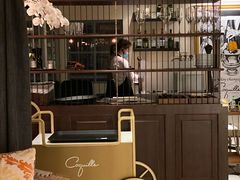 -壳里西餐厅Coquille Seafood Bistro(蒙自路店)