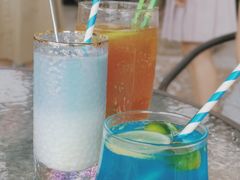 蓝柑苏打-柴犬高等学院·狗咖·柴犬售卖·宠物训练