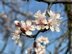 -苏州吴中太湖旅游区