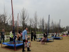 -三圣花乡旅游区