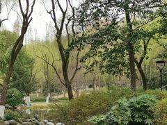 -柳浪闻莺公园