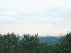 -深圳仙湖植物园