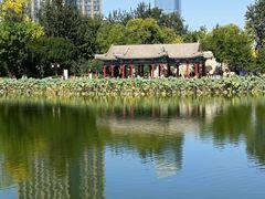 -西海子公园