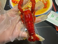 -京悦南门涮羊肉·羊蝎子火锅(田林路店)