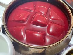 招牌鲜鸭血-火社火锅(平安大街店)