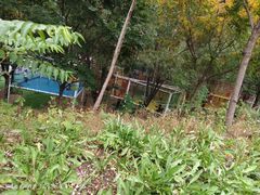 -西部长青自然儿童乐园