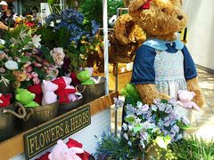 -济州岛泰迪熊博物馆