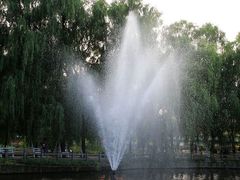 照片&nbsp;074-沈阳植物园