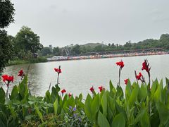 -枫香湖儿童公园