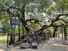 -小洲村