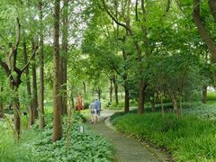 -陈家山荷花公园