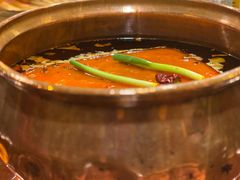 -镇江龙·火锅串串(武侯祠店)