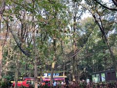 -紫金山山顶公园