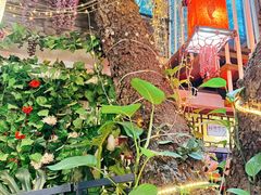 -丽江庭院·云南野生菌·海鲜火锅(鼓楼四合院店)