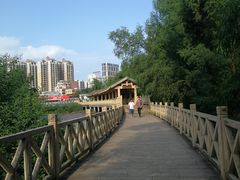 -大亚湾红树林城市湿地公园