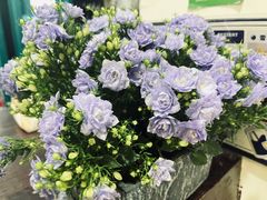 -扎起市井老火锅(乐山总店)