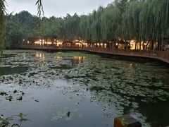 -巴山一绝烤全羊(三圣乡刘家花园店)