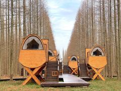 -黄海国家森林公园