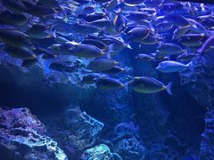 -成都浩海立方海洋公园