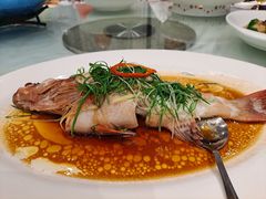 -新兴家喻酒家·羊城名宴(昌岗店)