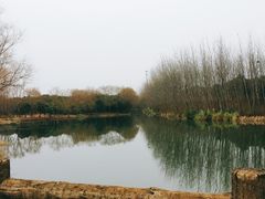 -昆山城市生态森林公园