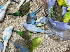 -三旗百汇商品城