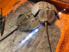 -大嶝英雄三岛战地观光园