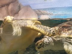 -福州罗源湾海洋世界旅游区