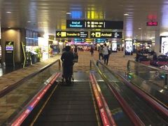 -樟宜机场免税店
