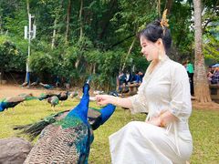 -西双版纳勐泐文化旅游区