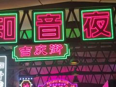 -武汉知音号
