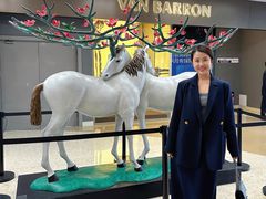 -红星美凯龙北京至尊MALL(东四环中路店)