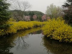 -白马涧龙池景区