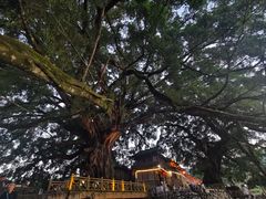 -云水谣景区