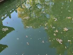 -北京国子监胡同