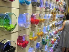-上海新发展亚太JW万豪酒店