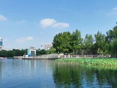 -莲花池公园