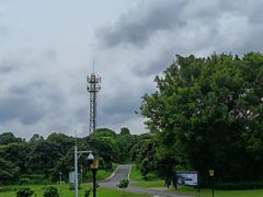 -东莞植物园