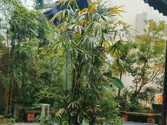 -Metal hands·铁手咖啡