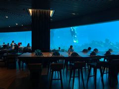 -海棠湾洲际-涛·海底餐厅·美人鱼·自助餐·海底隧道