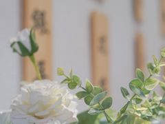 -禅泉冰粉(24城店)