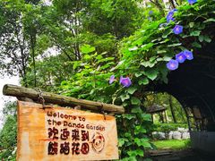 -成都保利公园皇冠假日酒店(熊猫基地店)