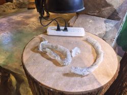 -酷嗒动物文化乐园(cutezoo西溪乐天城店)